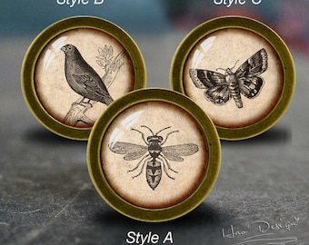 bee,Birds,butterfly -- Drawer knobs/ Handmade Vintage Bronze Dresser knobs cabinet Dresser Knobs pull / Dresser Pull / Cabinet Knobs