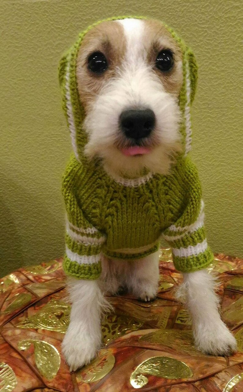 Free Shipping Sweater for a Jack Russell Terrier Sweater for Etsy