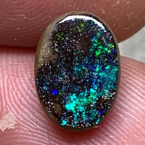 Könnte beinhalten: Ein ovaler schwarzer Opal-Edelstein mit einer dunklen Grundfarbe und lebhaften, verstreuten Blitzen aus schillerndem Grün und Blau auf seiner polierten Oberfläche. Der Stein zeigt ein natürliches Farbspiel innerhalb seiner dunklen Matrix.