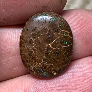 Könnte beinhalten: Ovale Opal-Edelstein mit brauner Grundfarbe und einem Netzwerk aus feinen, hellfarbigen Linien. Der Opal zeigt auf seiner Oberfläche grüne und blaue Irideszenz. Der Edelstein wird zwischen zwei Fingern gehalten.