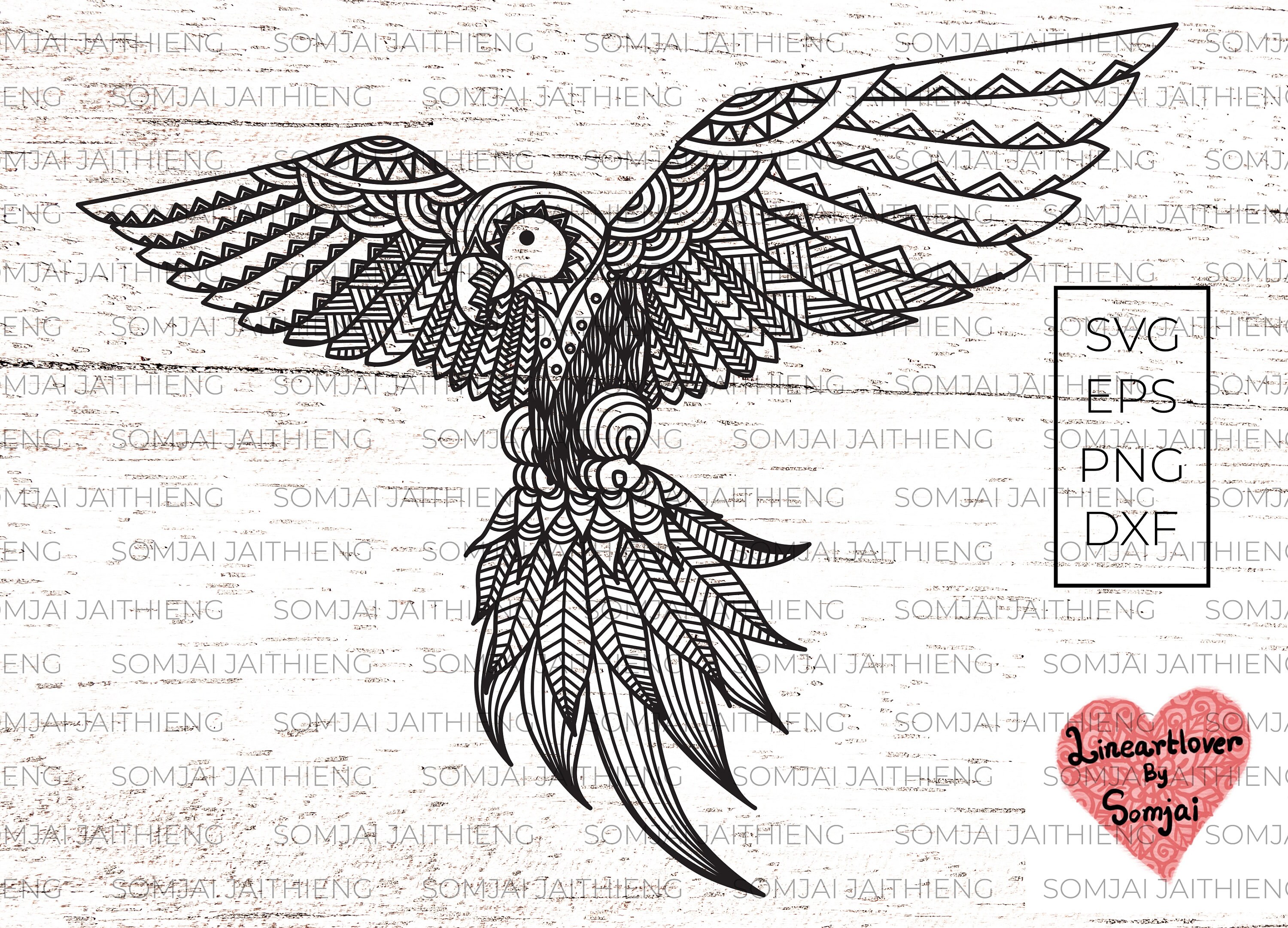 モモイロインコ、テンニョインコの絵画セット モモイロインコと桜のポストカード 背景ブルー ☆1セット4枚