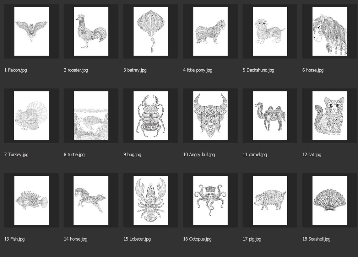 Download 150 animal PDF files for coloring book KDP By the real | Etsy