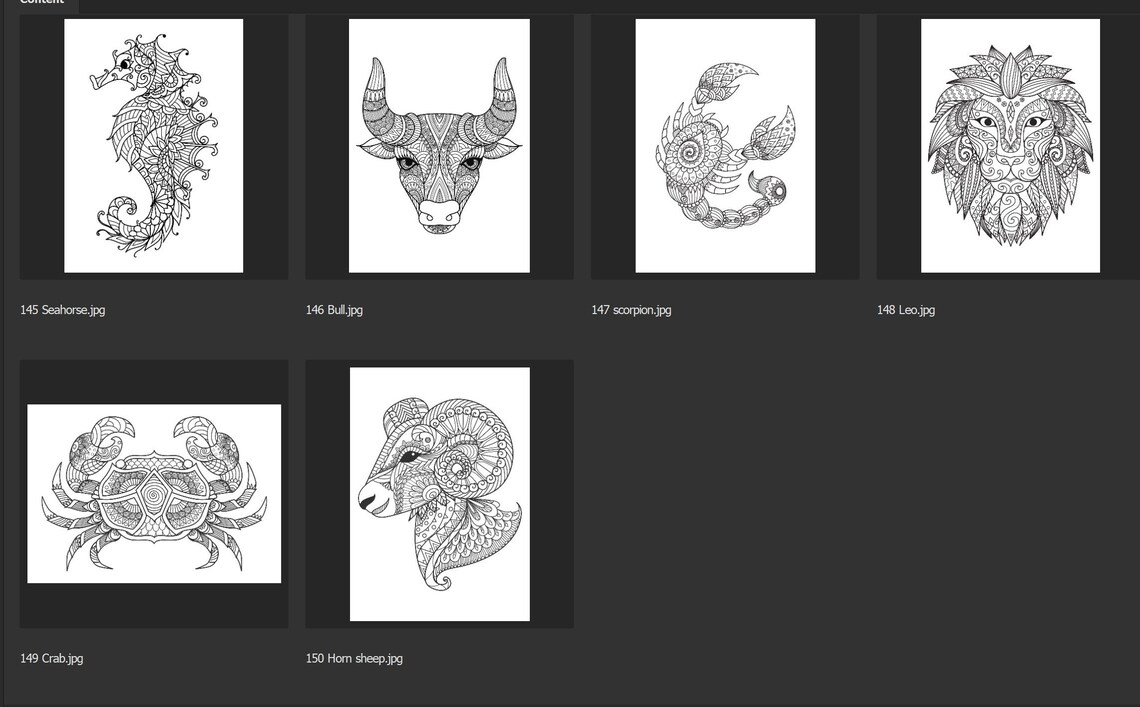 Download 150 animal PDF files for coloring book KDP By the real | Etsy