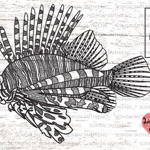Zentangle Lionfish Svg / Lionfish svg / Zentangle Svg / Mandala Svg / fish Svg / animal Svg  / Files for Cricut / Silhouette Files   0169