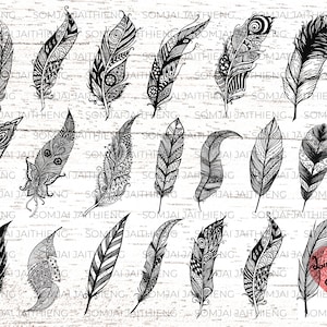 Originale 20 piume / Piume in formato SVG / Piume in formato SVG/ Piume PNG/ Disegnato a mano in formato SVG/ Piuma PNG / Mandala in formato SVG/ file per cricut 0040