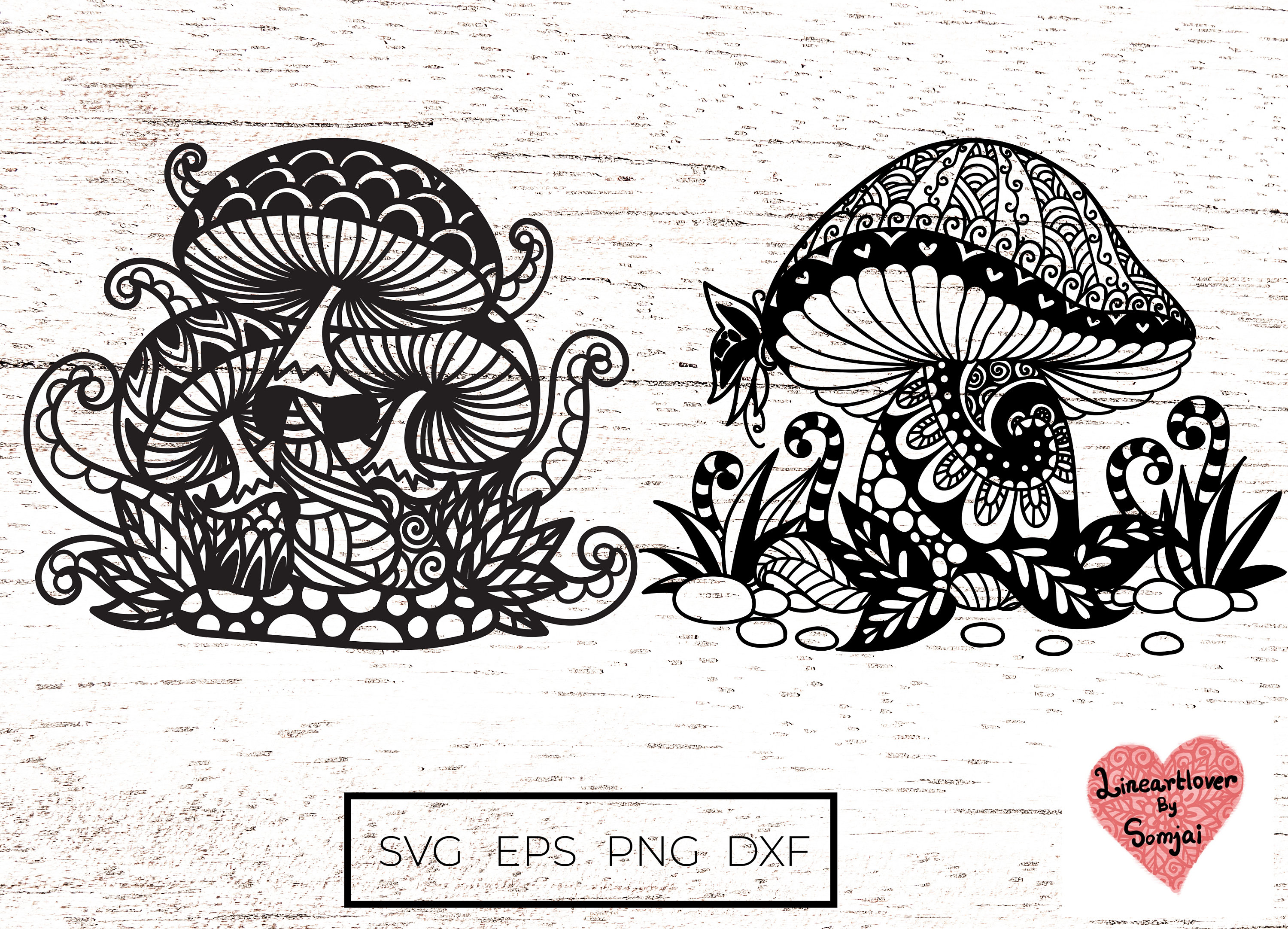 🌈 Jonathan Zawada 🌈 | 🧬 Rare Mushroom Crossbreeds! For