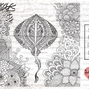 Dois estilos de stingray Svg/stingray zentangle svg/stingray svg/Zentangle Svg/Mandala Svg/ stingray png / Svg Files for Cricut 0222