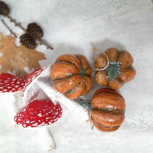 Può includere: Tre piccole zucche arancioni con piccioli verdi e due ornamenti a forma di fungo rosso con macchie bianche. Le zucche presentano superfici strutturate e cordini per appenderle, mentre i funghi hanno gambi bianchi e cappelli rossi.