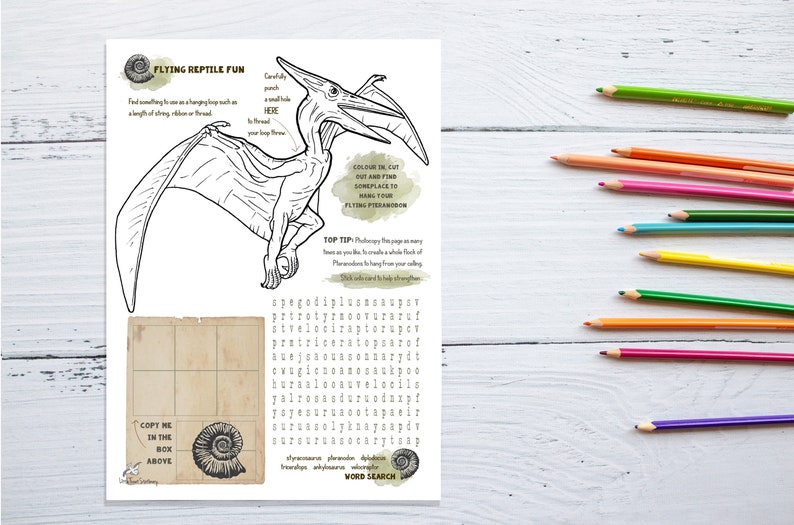 Op de afbeelding: Een printbare kleurplaat met een gedetailleerde lijntekening van een Pteranodon, een vliegende reptiel. De pagina bevat instructies voor het maken van een hangmobiel, een woordzoeker en een sectie om een fossielenafbeelding te kopi&euml;ren. De tekst op de pagina luidt "Flying Reptile Fun", "Maak voorzichtig een klein gaatje HIER om je lange dunne touwtje door te rijgen", "Kleur in, knip uit en vind een plek om je vliegende Pteranodon op te hangen", "Toptip: Fotokopieer deze pagina zo vaak als je wilt om een hele zwerm Pteranodons te maken om aan je plafond te hangen.  Dik karton is het beste om je Pteranodons te versterken", "Kopieer mij in het vakje hierboven", en "Woordzoeker".
