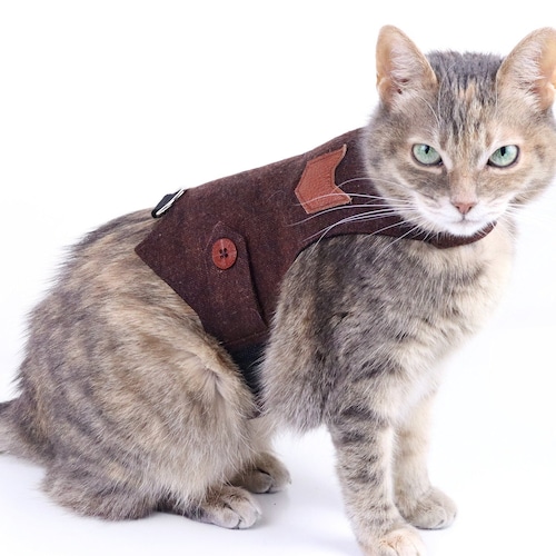 Classic Tweed Cat Walking Jacket. Burgundy Cat Harness. Escape Etsy
