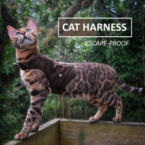 May include: A brown and black tabby cat wearing a brown escape-proof cat harness. The harness has a buckle and a metal ring. The cat is standing on a wooden surface and looking up. The text "CAT HARNESS ESCAPE-PROOF" is visible in the image.