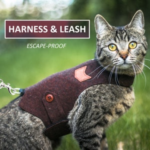 Peut inclure: Un chat brun portant un harnais et une laisse anti-évasion bruns, debout sur de l'herbe verte. Le texte "HARNESS & LEASH" et "ESCAPE-PROOF" est visible sur l'image.