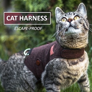 Cat jackets uk deals
