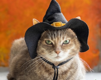 Witch Cat Hat, Halloween Photo Prop, Wizard hat, Halloween Cat Costume, Witch Hat for Small Dog, Pet costume. Shipping from USA and POLAND