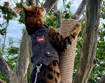 Personalised Classic Tweed Cat Walking Jacket with your cat&#39;s name. Escape proof Harness with leather patch. Custom made Vest