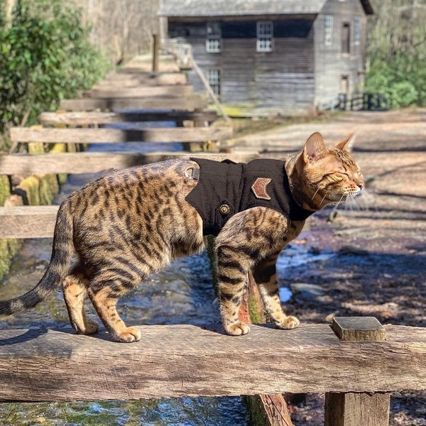Custom Cat Harness Etsy