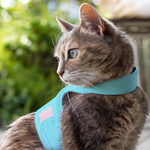 Ontsnappingsbestendig kattentuig om te wandelen | Verstelbaar kattenwandeljack | Zacht kattenvest voor buiten | ÉÉN MAAT | Pastelblauw
