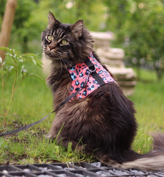 Handmade cat harness online