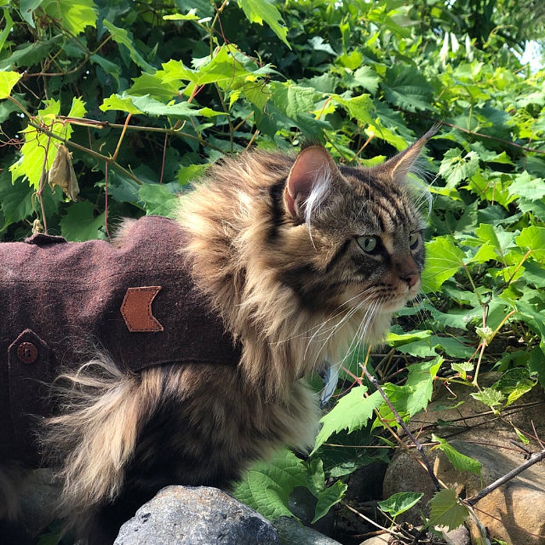 Classic Tweed Cat Walking Jacket. Burgundy cat harness. Escape Etsy