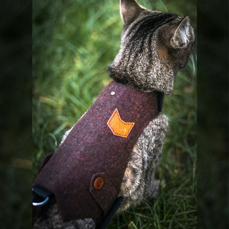 Classic Tweed Cat Walking Jacket. Burgundy cat harness. Escape Etsy