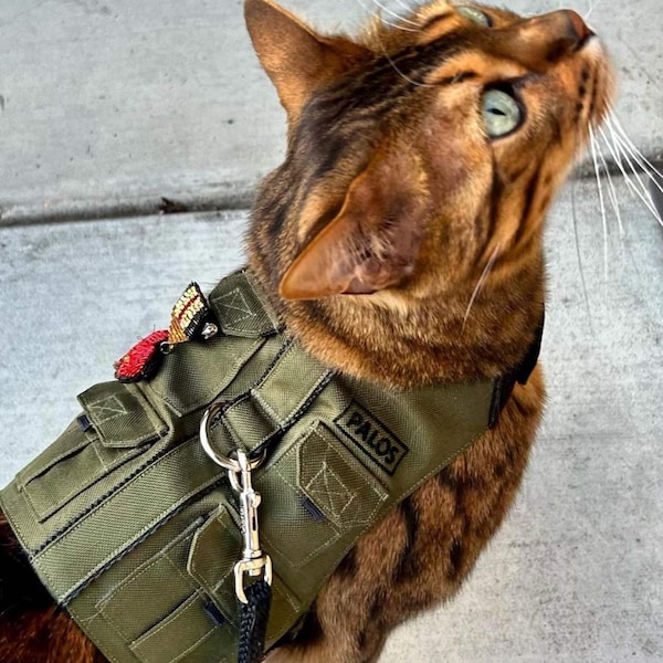 Khaki Fishing vest. Custom-made Cat Harness with Pockets for GPS-tracker and Durable D-Ring. Escape Proof. Handmade Kitten Vest