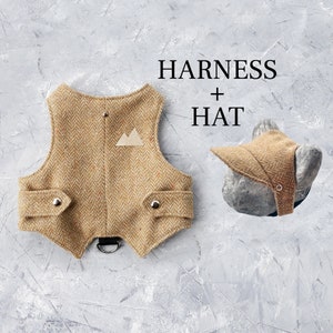 Könnte beinhalten: Ein braunes Tweed-Hundegurtzeug mit einem kleinen Berg-Patch und zwei Taschen. Ein passender brauner Tweed-Hut mit Krempe ist ebenfalls abgebildet. Der Text "HARNESS + HAT" ist über dem Bild gedruckt.
