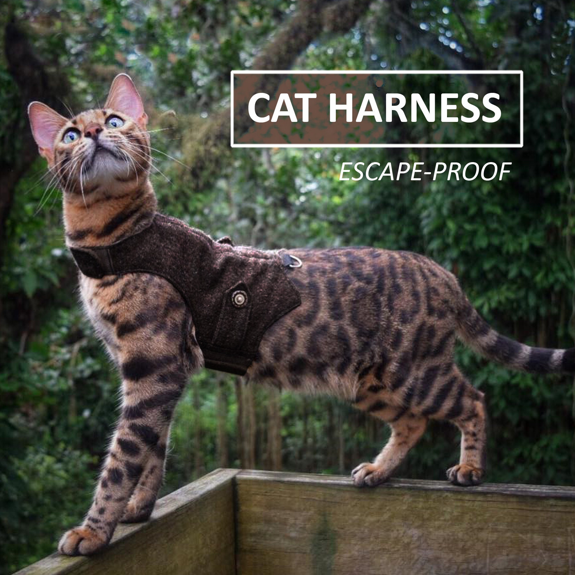 Harness for bengal cat hotsell