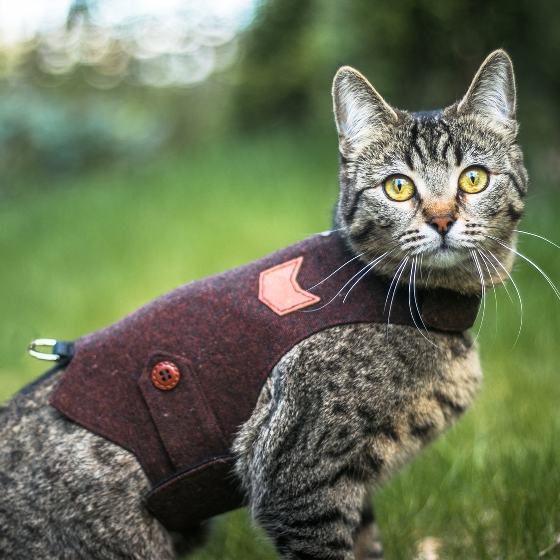 Classic Tweed Cat Walking Jacket. Burgundy cat harness. Escape Etsy
