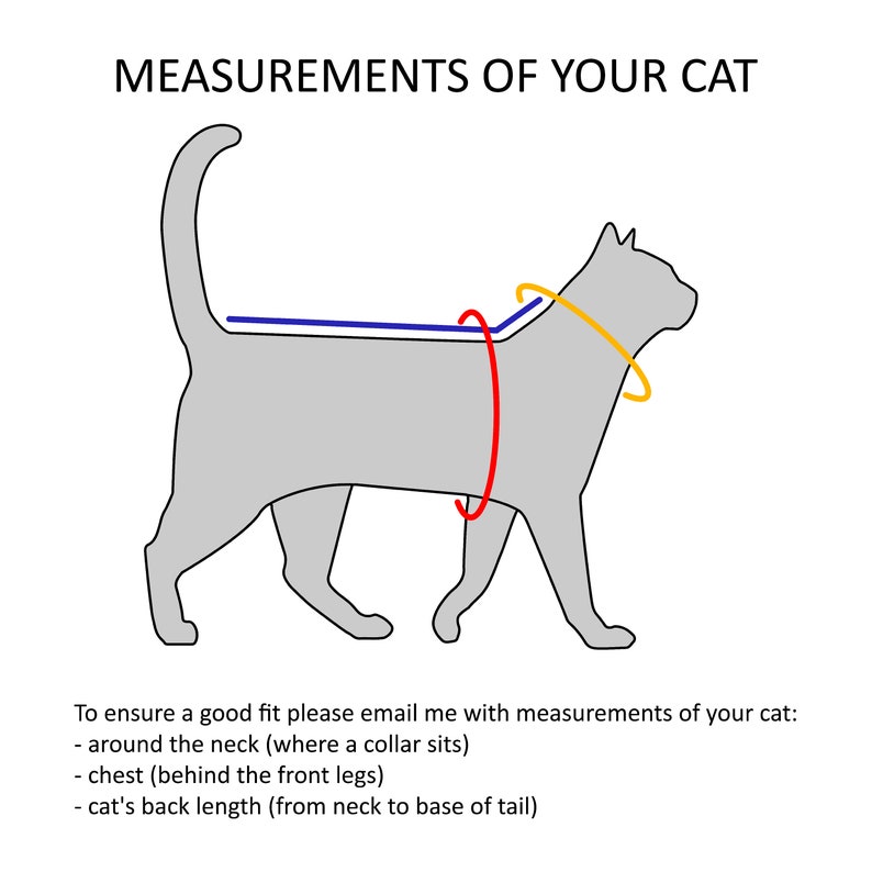 May include: Diagram showing how to measure a cat for a custom-made cat collar. The diagram shows a gray cat with lines indicating where to measure around the neck, chest, and back length.
