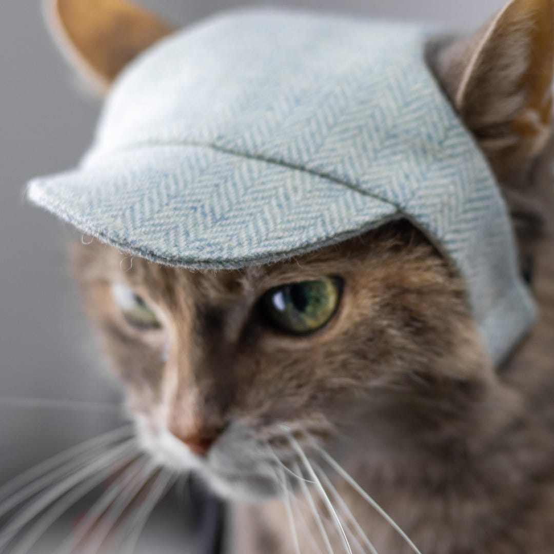Handmade Light Blue Herringbone Cat Hat, Stylish Pet Costume - Etsy