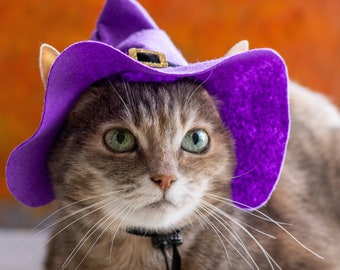 Wizard hat for cat, Witch Cat Hat, Halloween Photo Prop, Halloween Cat Costume, Witch Hat for Small Dog