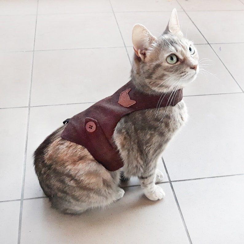 Classic Burgundy Harness with Leather Patch. Escape Proof. Cat Etsy