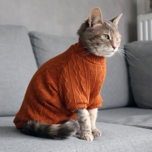 Warm sweater for Cat. Turtleneck for Sphynx and all cats breeds. Raglan for hairless cats. Handmade Clothes