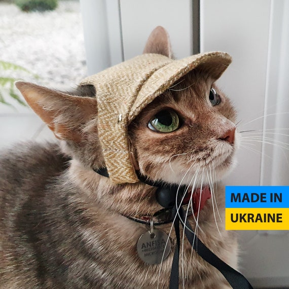 Ready to Ship. Classic Cat Hat. Cap for 