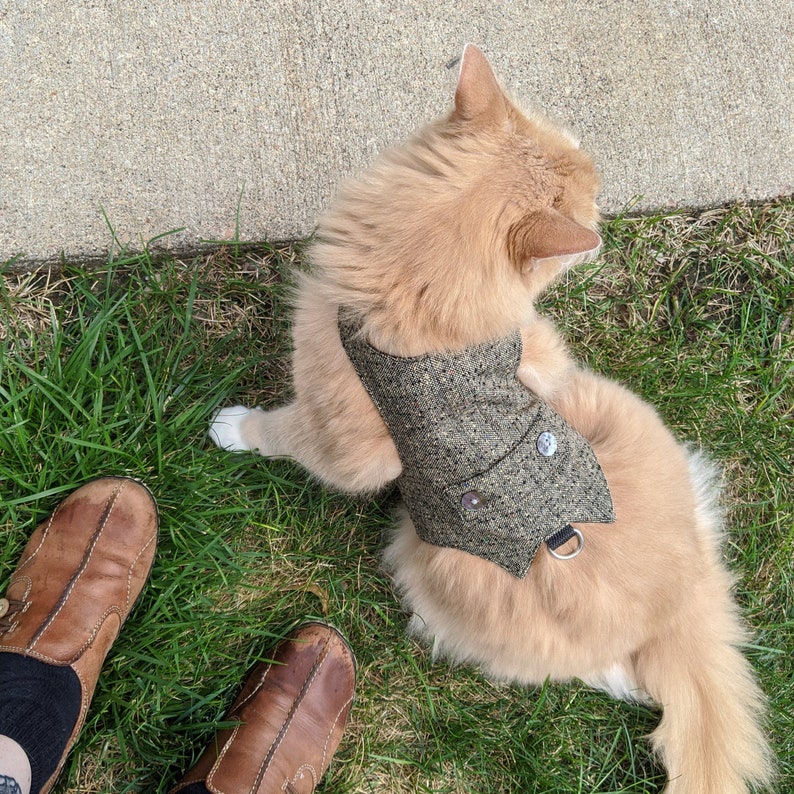 Elegant classic tweed cat walking jacket with pearl buttons. Etsy