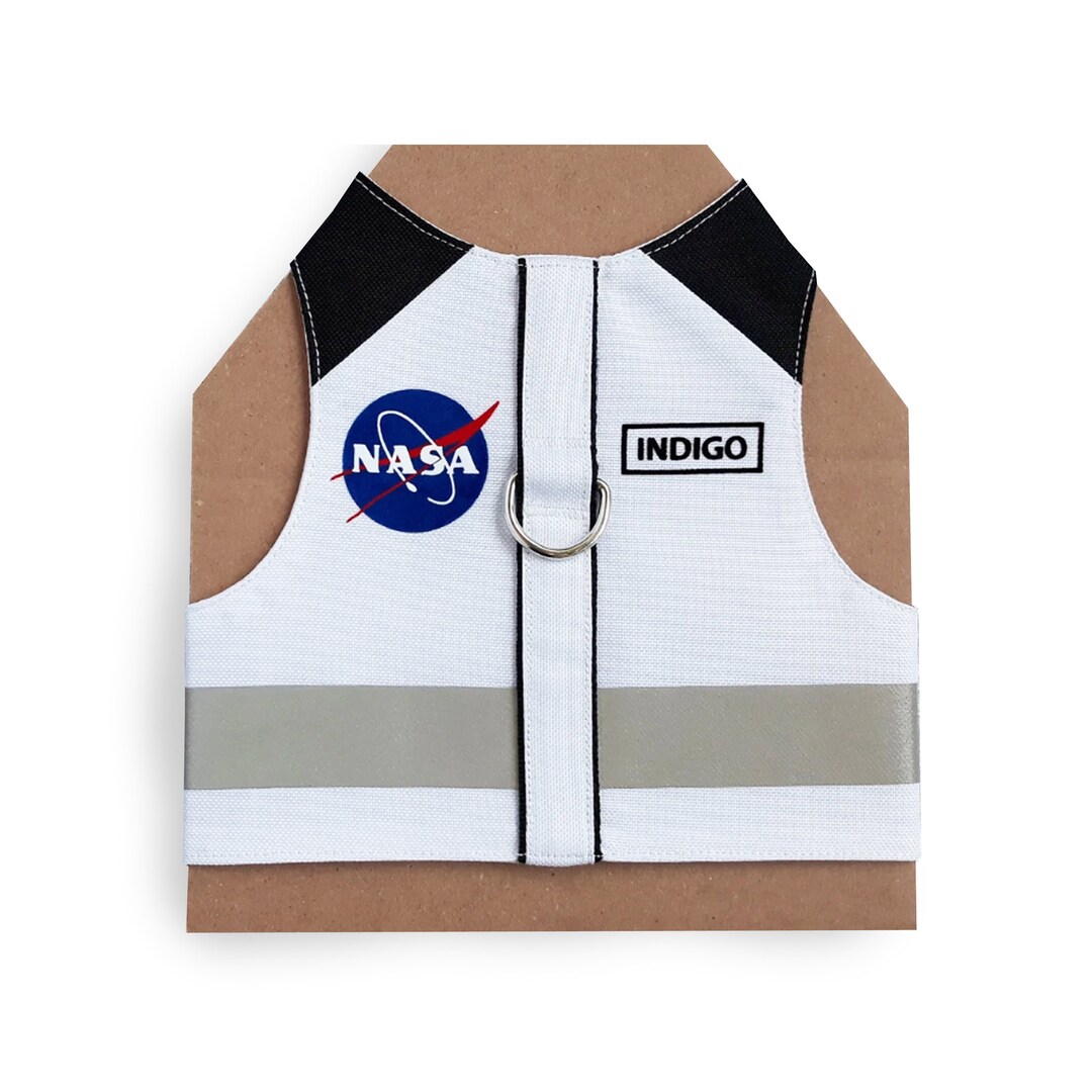 Arnês personalizado para gatos da NASA: colete refletivo à prova