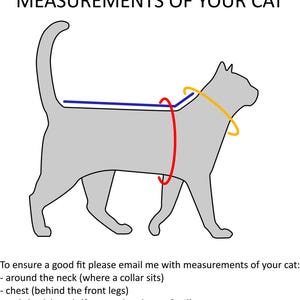 K&ouml;nnte beinhalten: Diagramm, das zeigt, wie man eine Katze f&uuml;r ein ma&szlig;geschneidertes Kleidungsst&uuml;ck misst. Das Diagramm zeigt eine graue Katze mit drei Messungen, die in Rot, Blau und Gelb markiert sind: um den Hals, die Brust und die R&uuml;ckenl&auml;nge.