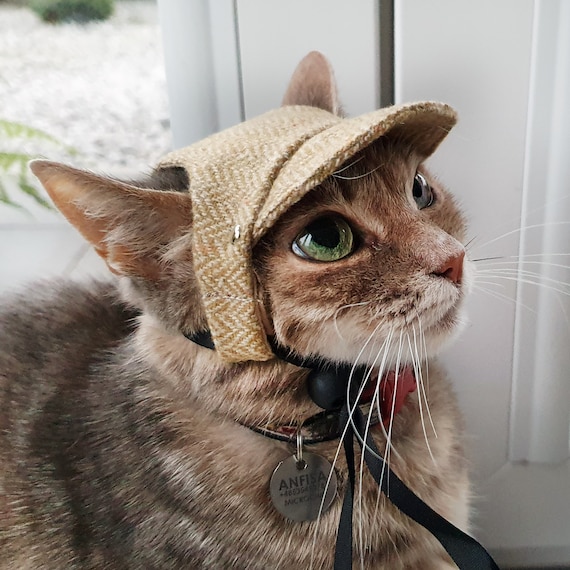Classico cappello da gatto. Berretto per gatti e gattini. Cappello