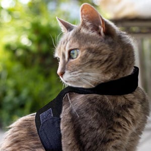 Ontsnappingsbestendig kattentuig om te wandelen | Verstelbaar kattenwandeljack | Zacht kattenvest voor buiten | ÉÉN MAAT | Zwart