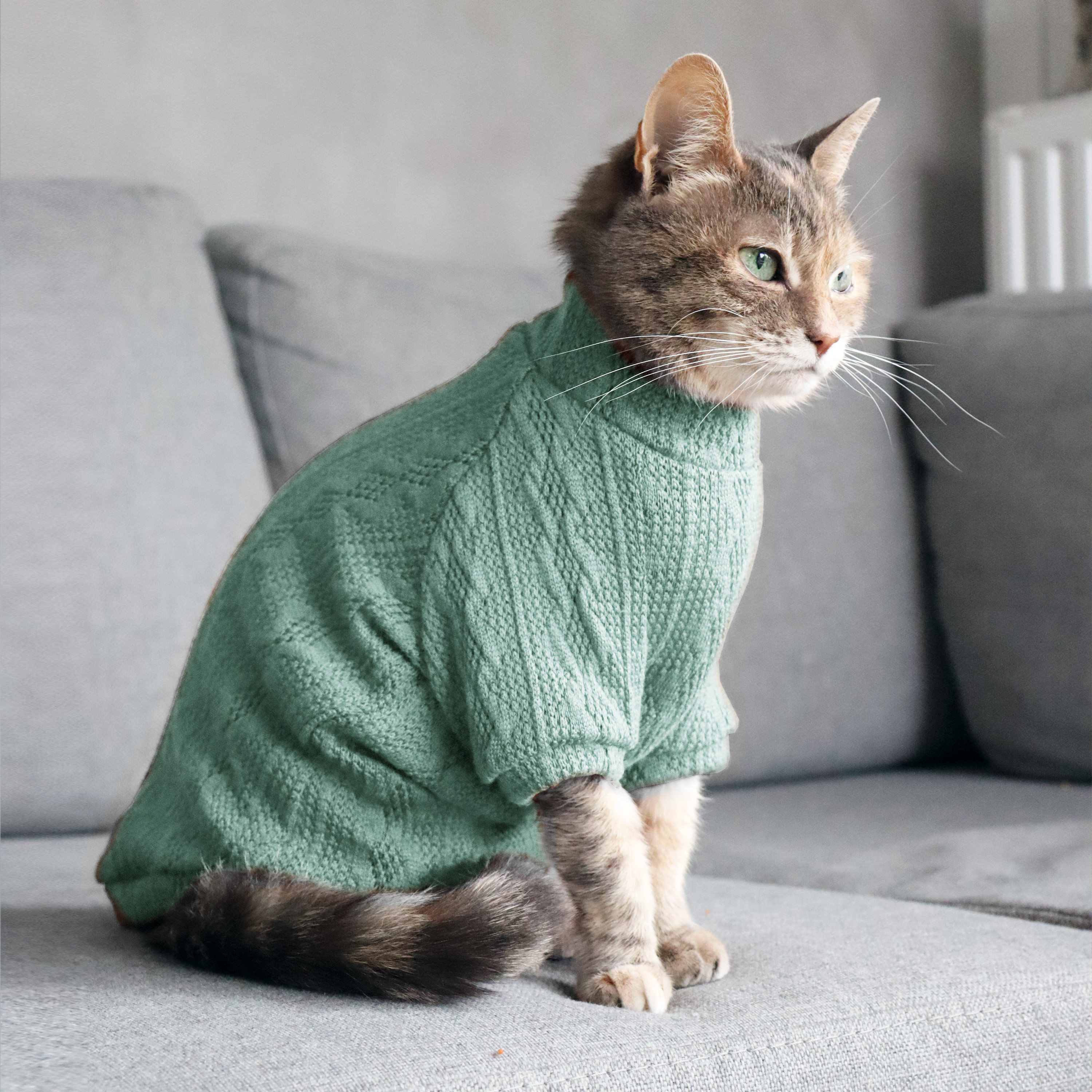 Warm Cat Sweater: Handmade Cotton Pullover for All Breeds - Etsy