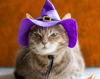 Wizard hat for cat, Witch Cat Hat, Halloween Photo Prop, Halloween Cat Costume, Witch Hat for Small Dog. Shipping from USA