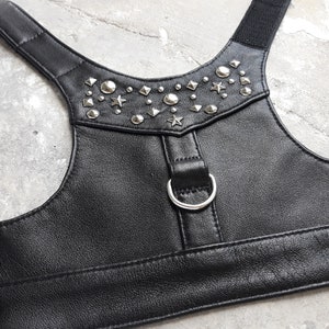 May include: Black leather dog harness with silver star and diamond-shaped studs.
