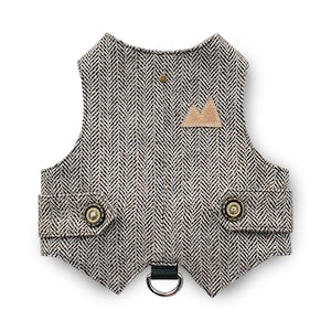 Può includere: Un giubbotto per cani a spina di pesce marrone e bianco con una toppa in pelle marrone sul davanti. Il giubbotto ha due tasche con bottoni dorati e un anello a D nero sul retro.
