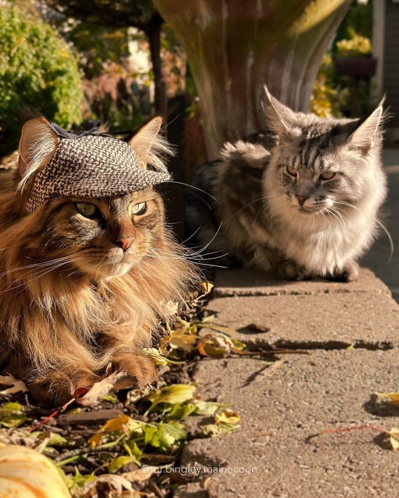 Cat Hat. Deerstalker Hat for Cats. Cap for Cats and Kittens. Pet Detective  Outfit Funny Costume Party Dress Up - Etsy