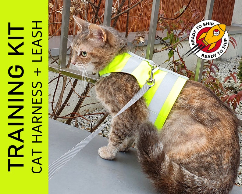 May include: A cat wearing a yellow and gray safety harness and leash. The harness has reflective strips. The cat is sitting on a concrete surface. The text "TRAINING KIT CAT HARNESS + LEASH" is in the background.