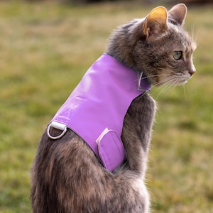 May include: A gray tabby cat wearing a bright purple harness with a D-ring and adjustable closures. The harness is designed to fit comfortably and securely. The cat is sitting outdoors with a blurred green background.