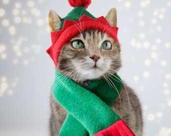 Elf Cat Hat and Scarf. Christmas Set. Cap for Cats and Kittens. Pet photo prop | ALLCATSGOOD