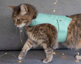 Arnés ajustable y a prueba de fugas de Azure con bolsillo AirTag para gatos y gatitos. ALLCATSGOOD