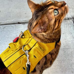 Ontsnappingsbestendig kattentuigje. Geel visvest. Op maat gemaakt waterafstotend katten- en kittenvest met zakken. Veiligheidskittenjack