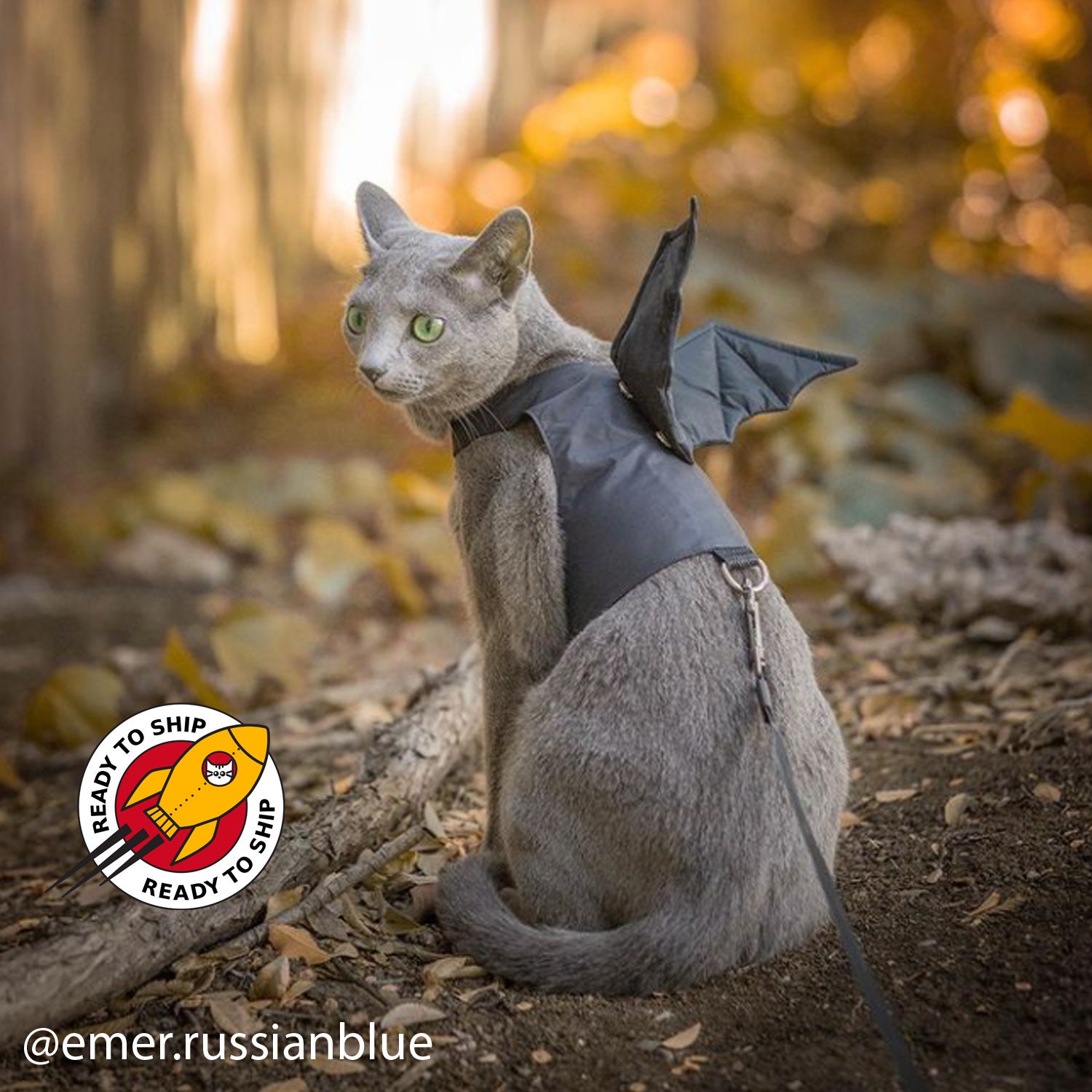 Ready to Ship. Dracula / Dragon / Bat Cat Harness With Removable